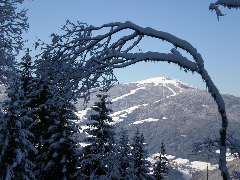 Oberlechnerhof Bed & Breakfast Rasun di Sopra Exterior photo